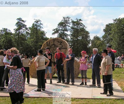 2008113.jpg