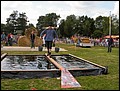 2008110.jpg