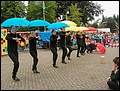 2008176.jpg