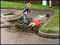 2008182.jpg