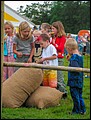 zeepkistenrace -141.jpg
