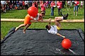 _DSC0246.jpg