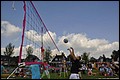 zaterdag 2013295.JPG